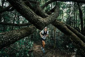 BIB: 
                            <button type="button" onclick="openModal(25663703)" class="btn btn-primary btn-sm float-right btn-popup" data-toggle="modal" data-target=".modal-high-quality">
                        <i class="fas fa-shopping-cart"></i> Add to Cart
                    </button>
                                            <button type="button" onclick="isThisMe(25663703, true)" class="btn btn-success btn-sm float-right btn-popup btn-isme hidden" data-toggle="tooltip" data-placement="bottom" title="นี่คือรูปของคุณใช่ไหม คลิกที่นี่เพื่อเอาเข้าอัลบั้ม">
                        <i class="fas fa-plus"></i> Add to album
                    </button>
                    <button type="button" onclick="isThisMe(25663703, false)" class="btn btn-warning btn-sm float-right btn-popup btn-isnotme hidden">
                        <i class="fas fa-ban"></i> Remove from album
                    </button>